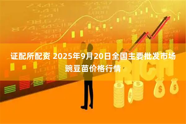 证配所配资 2025年9月20日全国主要批发市场豌豆苗价格行情