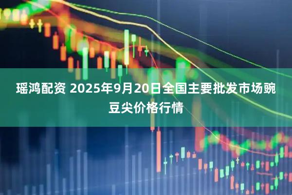 瑶鸿配资 2025年9月20日全国主要批发市场豌豆尖价格行情