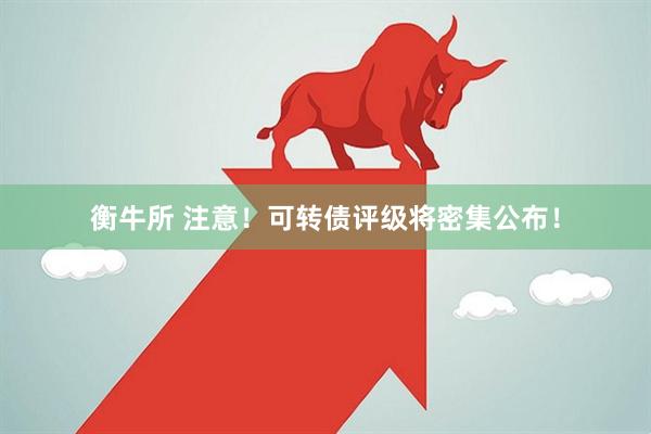 衡牛所 注意！可转债评级将密集公布！