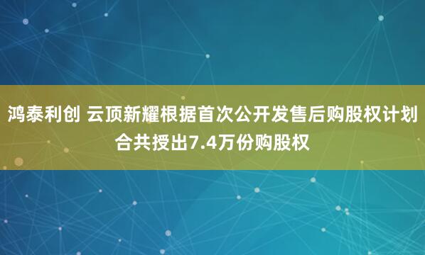 鸿泰利创 云顶新耀根据首次公开发售后购股权计划合共授出7.4万份购股权
