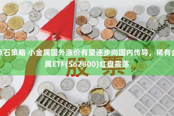 点石策略 小金属国外涨价有望逐步向国内传导，稀有金属ETF(562800)红盘震荡