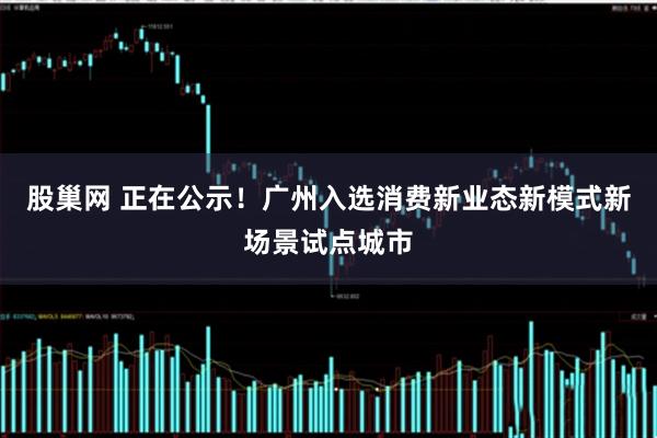 股巢网 正在公示！广州入选消费新业态新模式新场景试点城市