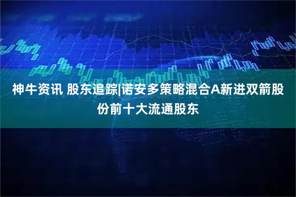 神牛资讯 股东追踪|诺安多策略混合A新进双箭股份前十大流通股东