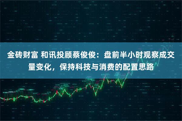 金砖财富 和讯投顾蔡俊俊：盘前半小时观察成交量变化，保持科技与消费的配置思路