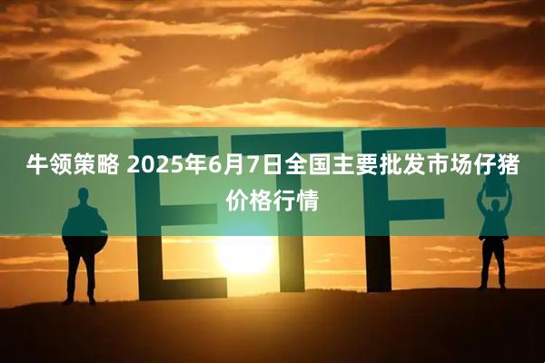 牛领策略 2025年6月7日全国主要批发市场仔猪价格行情
